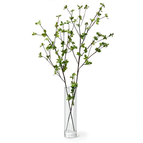 ドウダンツツジ 観葉植物 フェイクグリーン　◯グラス付き◯ Amazon｜GREENPARK ドウダンツツジ ウォーター H100cm 観葉植物